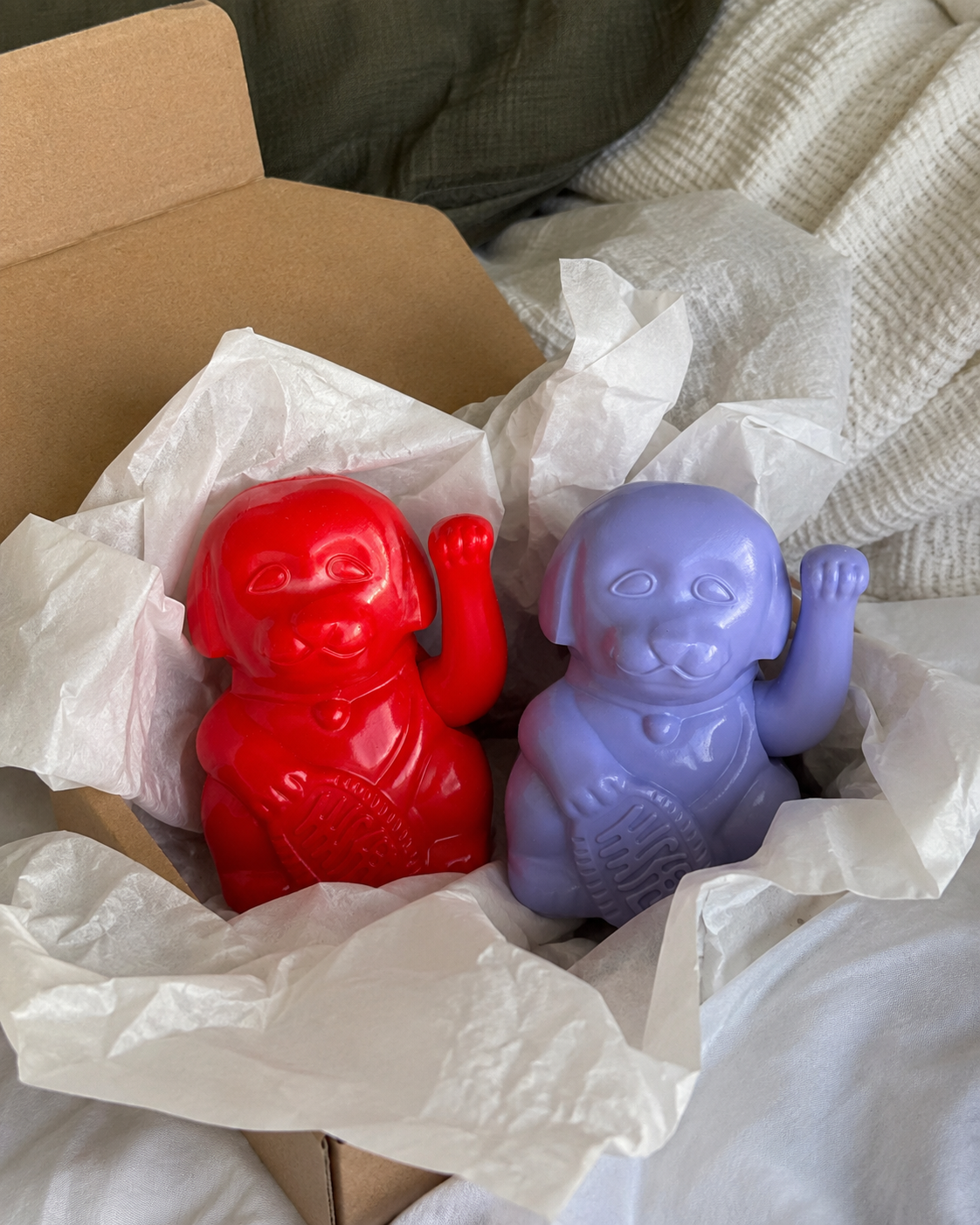 LuckyDog reçu par un client dans son colis