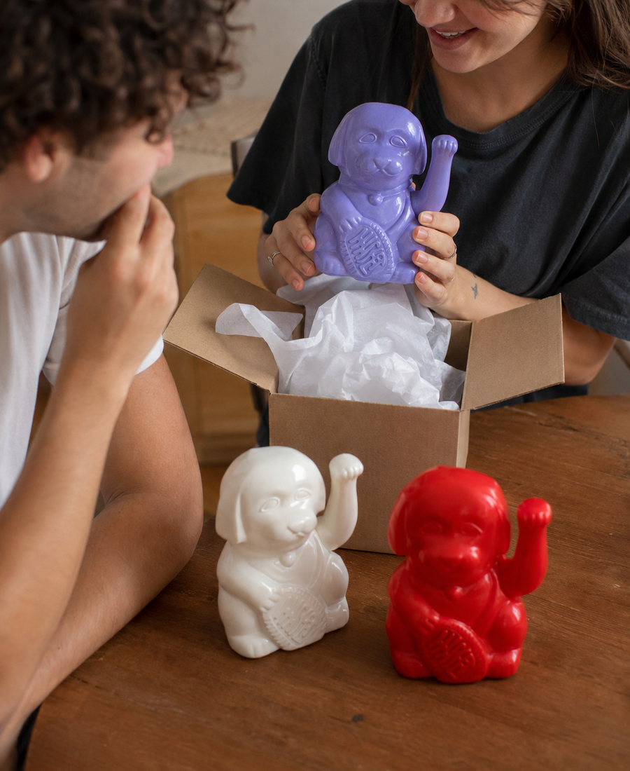 Unboxing Lucky Dog